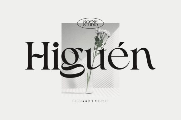 Higuen: The Serif Font That Whispers Luxury